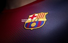 米兰体育官网-.阿贾克斯取胜斗志 暴露对手弱点，阿贾克斯什么水平