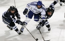 米兰体育官网-南安普顿迎战伯恩茅斯：圣徒主场抢分保级