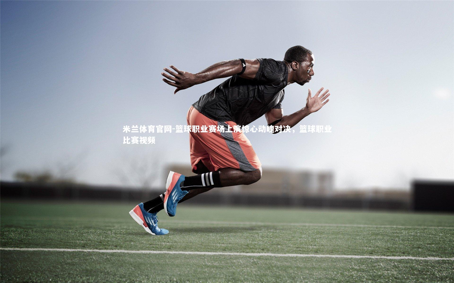 篮球职业赛场上演惊心动魄对决，篮球职业比赛视频